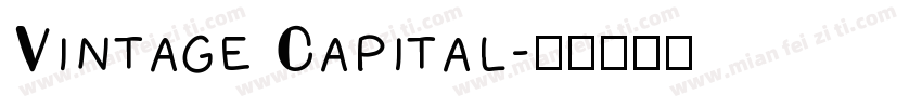 Vintage Capital字体转换